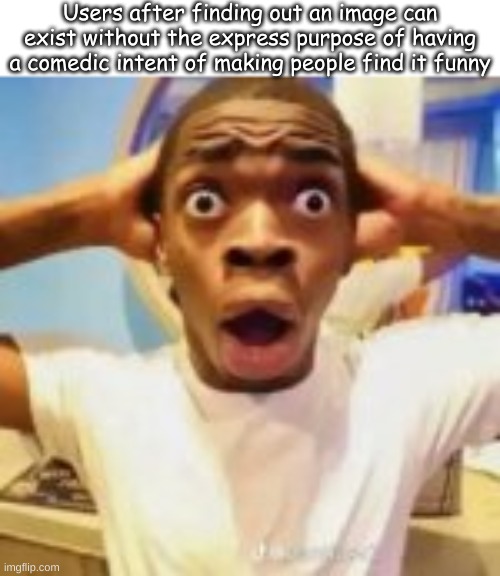 Users after finding out an image can exist without the express purpose of having a comedic intent of making people find it funny | made w/ Imgflip meme maker