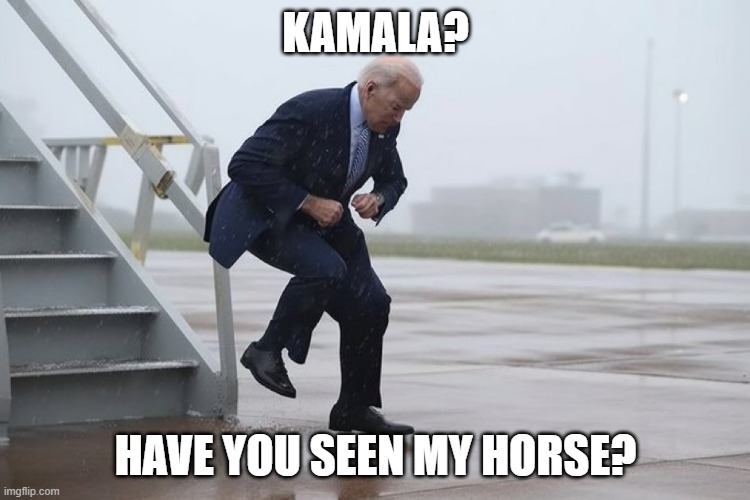 dancing joe | KAMALA? HAVE YOU SEEN MY HORSE? | image tagged in dancing joe | made w/ Imgflip meme maker