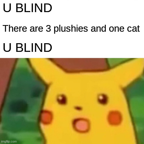 Surprised Pikachu Meme | U BLIND; There are 3 plushies and one cat; U BLIND | image tagged in memes,surprised pikachu | made w/ Imgflip meme maker
