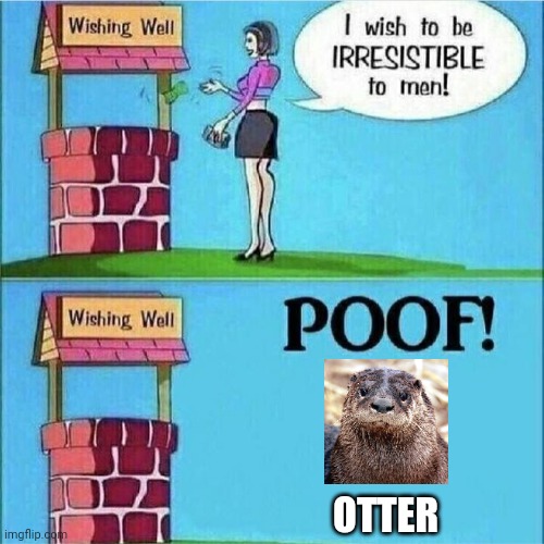 You are now a river otter | OTTER | image tagged in i wish to be irresistible to men | made w/ Imgflip meme maker