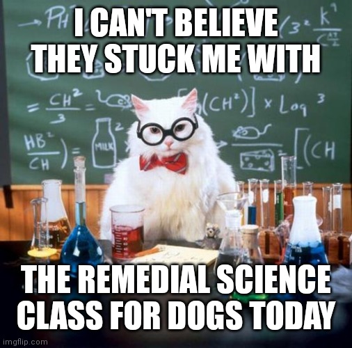Chemistry Cat Meme | I CAN'T BELIEVE THEY STUCK ME WITH; THE REMEDIAL SCIENCE CLASS FOR DOGS TODAY | image tagged in memes,chemistry cat | made w/ Imgflip meme maker