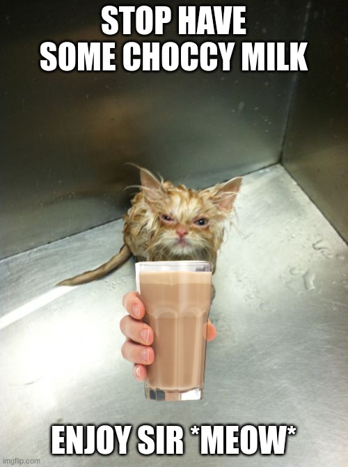 Kill You Cat Meme | STOP HAVE SOME CHOCCY MILK ENJOY SIR *MEOW* | image tagged in memes,kill you cat | made w/ Imgflip meme maker