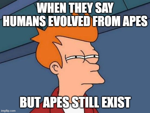 Futurama Fry Meme | WHEN THEY SAY HUMANS EVOLVED FROM APES; BUT APES STILL EXIST | image tagged in memes,futurama fry | made w/ Imgflip meme maker