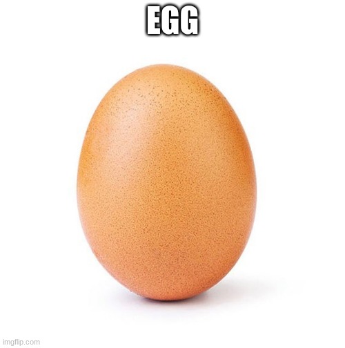 egg | EGG | image tagged in egg | made w/ Imgflip meme maker