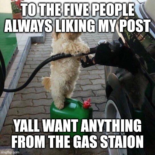 Upvote if you want something | TO THE FIVE PEOPLE ALWAYS LIKING MY POST; YALL WANT ANYTHING FROM THE GAS STAION | image tagged in gas station attendant,memes,funny memes,youtube meme | made w/ Imgflip meme maker