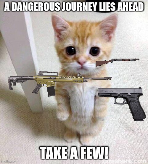 Cute Cat | A DANGEROUS JOURNEY LIES AHEAD; TAKE A FEW! | image tagged in memes,cute cat | made w/ Imgflip meme maker