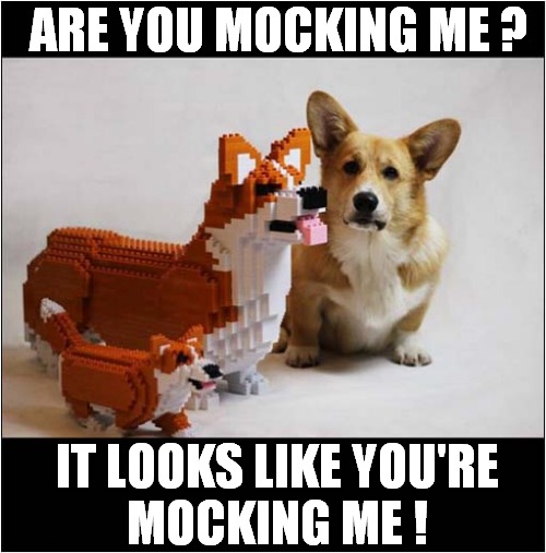 Lego Dogs | ARE YOU MOCKING ME ? IT LOOKS LIKE YOU'RE
MOCKING ME ! | image tagged in dogs,lego,mocking | made w/ Imgflip meme maker