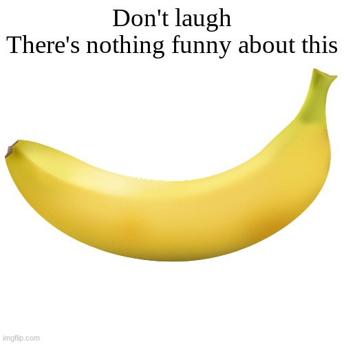 Don't laugh
There's nothing funny about this | image tagged in memes | made w/ Imgflip meme maker