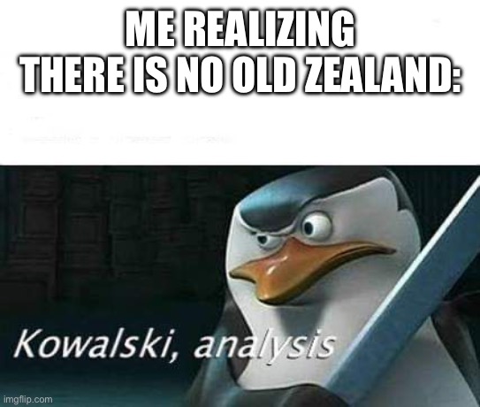 kowalski, analysis | ME REALIZING THERE IS NO OLD ZEALAND: | image tagged in kowalski analysis | made w/ Imgflip meme maker