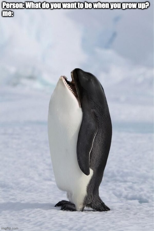 whale penguin | Person: What do you want to be when you grow up?
me: | image tagged in whale penguin | made w/ Imgflip meme maker