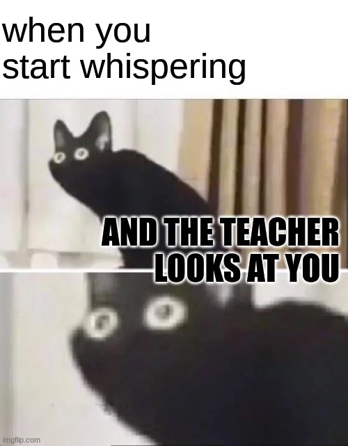 Oh no... You about to get an email sent home boiiii | when you start whispering; AND THE TEACHER LOOKS AT YOU | image tagged in oh no black cat,sad pablo escobar,1 trophy,tuxedo winnie the pooh,memes,gifs | made w/ Imgflip meme maker