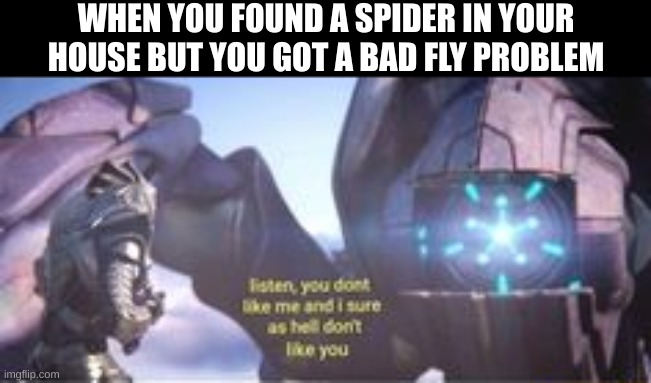 You gonna live in my house arachnid, you gotta earn your keep | WHEN YOU FOUND A SPIDER IN YOUR HOUSE BUT YOU GOT A BAD FLY PROBLEM | image tagged in listen you don't like me and i sure as hell don't like you,memes,halo,funny,spider | made w/ Imgflip meme maker