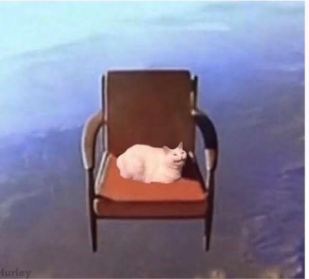 cat flying in a chair Blank Meme Template