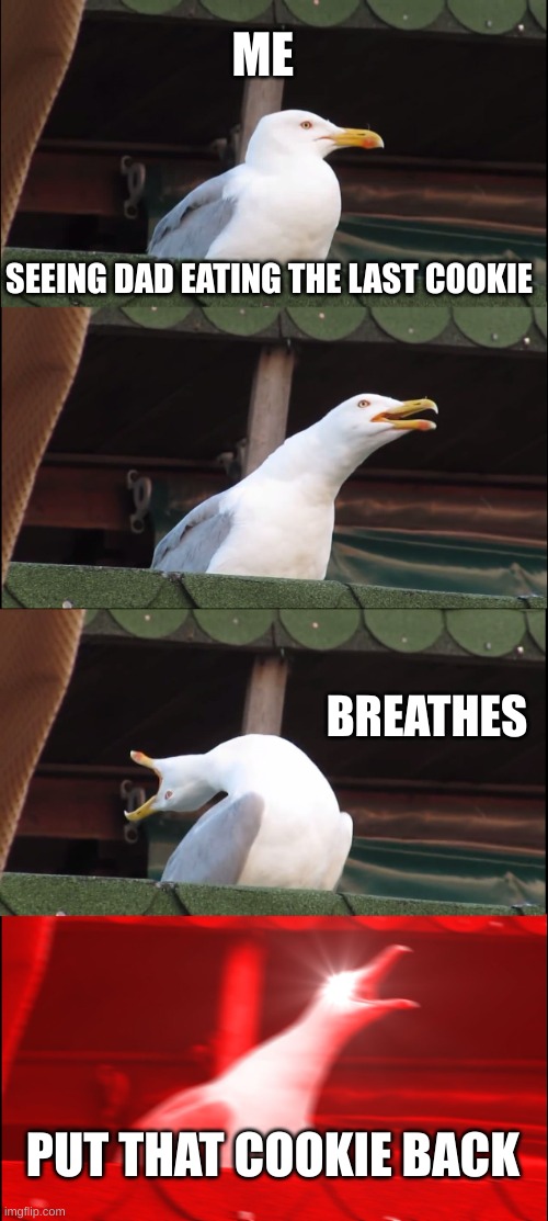 Inhaling Seagull | ME; SEEING DAD EATING THE LAST COOKIE; BREATHES; PUT THAT COOKIE BACK | image tagged in memes,inhaling seagull | made w/ Imgflip meme maker