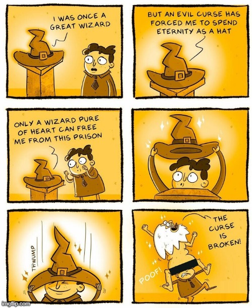 Free the Wizard | image tagged in comics | made w/ Imgflip meme maker