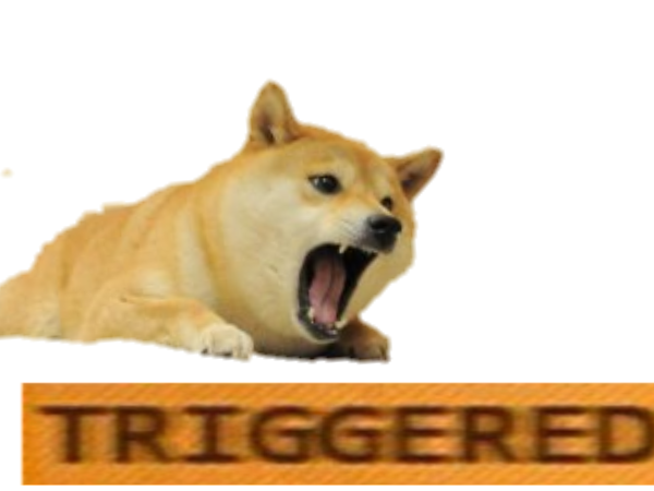 High Quality mad doge Blank Meme Template