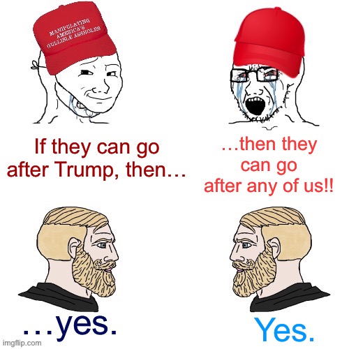 Yeah that’s how law works, sorry buddy |  …then they can go after any of us!! If they can go after Trump, then…; …yes. Yes. | image tagged in maga wojaks vs yes chad,trump supporters,stormy daniels,trump,trump is an asshole,trump is a moron | made w/ Imgflip meme maker