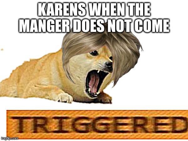 karen doggo | KARENS WHEN THE MANGER DOES NOT COME | image tagged in mad doge | made w/ Imgflip meme maker