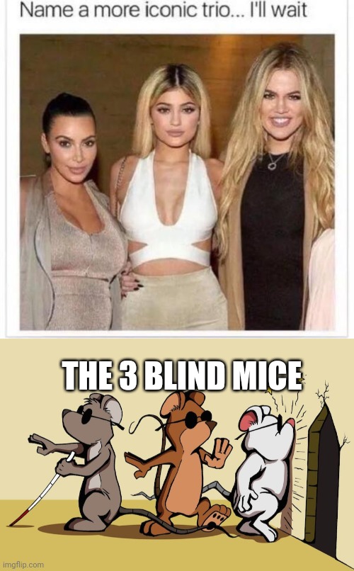 Meme #523 | THE 3 BLIND MICE | image tagged in name a more iconic trio,mice,memes,true,funny,mouse | made w/ Imgflip meme maker