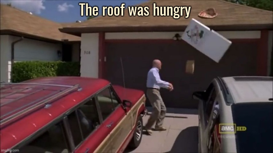 That was a 29 dollar pizza! | The roof was hungry | image tagged in breaking bad pizza,stop it get some help | made w/ Imgflip meme maker