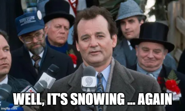 It's snowing again | WELL, IT'S SNOWING ... AGAIN | image tagged in snow,bill murray groundhog day | made w/ Imgflip meme maker