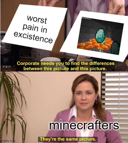 They're The Same Picture Meme | worst pain in excistence; minecrafters | image tagged in memes,they're the same picture | made w/ Imgflip meme maker