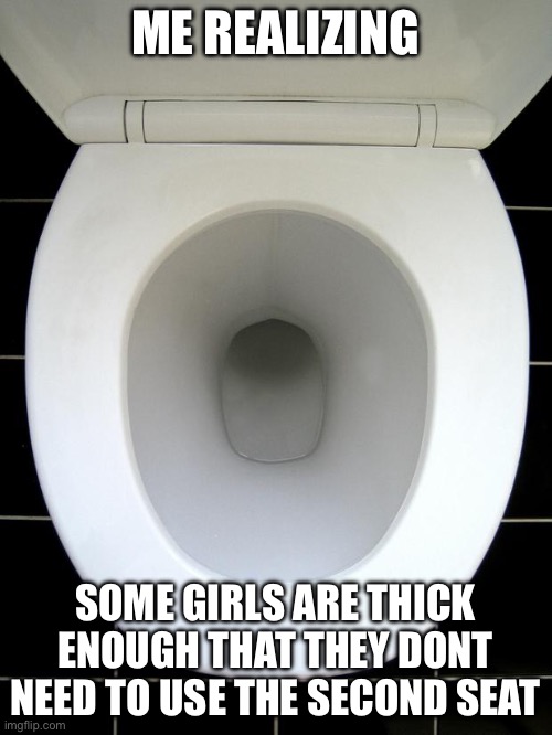 Thick thighs | ME REALIZING; SOME GIRLS ARE THICK ENOUGH THAT THEY DONT NEED TO USE THE SECOND SEAT | image tagged in toilet | made w/ Imgflip meme maker