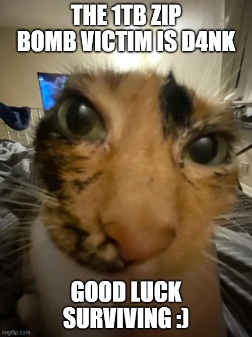Jonquavius John Jingle Jang Joogle Gloop the 3rd | THE 1TB ZIP BOMB VICTIM IS D4NK; GOOD LUCK SURVIVING :) | image tagged in jonquavius john jingle jang joogle gloop the 3rd | made w/ Imgflip meme maker