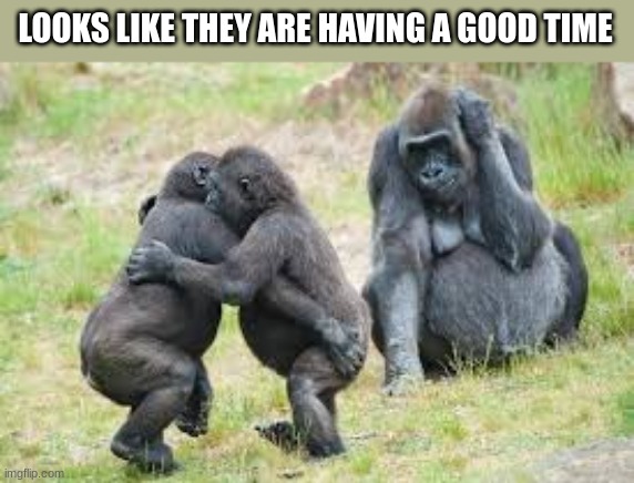 Funny | LOOKS LIKE THEY ARE HAVING A GOOD TIME | image tagged in funny,memes,funny memes | made w/ Imgflip meme maker