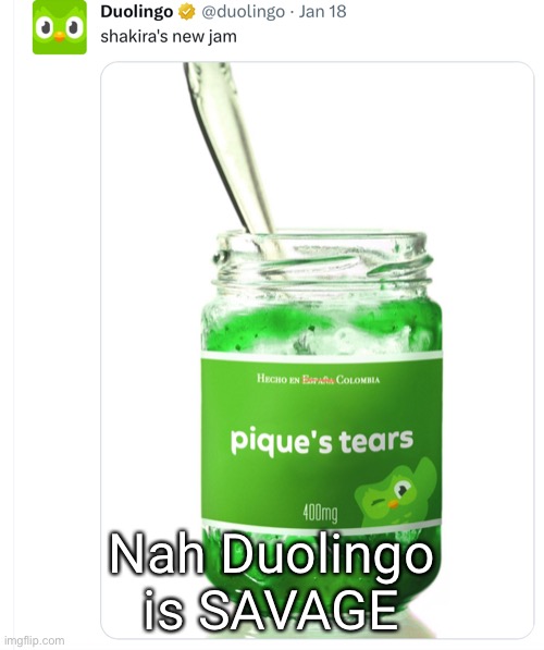 Jit Trippin…. | Nah Duolingo is SAVAGE | image tagged in duolingo,shakira,funny | made w/ Imgflip meme maker