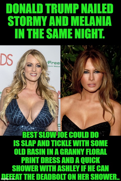 Just the facts jack | DONALD TRUMP NAILED STORMY AND MELANIA IN THE SAME NIGHT. BEST SLOW JOE COULD DO IS SLAP AND TICKLE WITH SOME OLD RASIN IN A GRANNY FLORAL PRINT DRESS AND A QUICK SHOWER WITH ASHLEY IF HE CAN DEFEAT THE DEADBOLT ON HER SHOWER.. | image tagged in melania trump | made w/ Imgflip meme maker