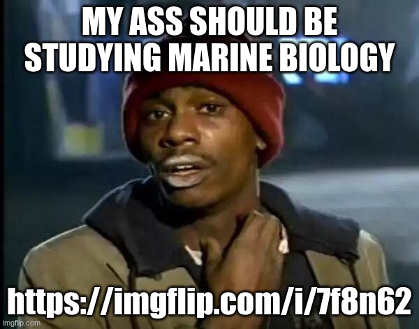 Y'all Got Any More Of That | MY ASS SHOULD BE STUDYING MARINE BIOLOGY; https://imgflip.com/i/7f8n62 | image tagged in memes,y'all got any more of that | made w/ Imgflip meme maker