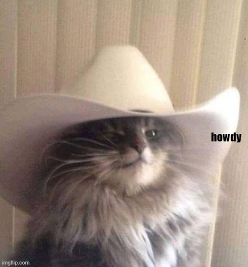 Meowdy! | howdy | image tagged in meowdy | made w/ Imgflip meme maker
