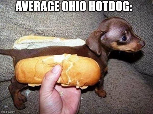 Scrumpdidllydumptus | AVERAGE OHIO HOTDOG: | image tagged in ohio,food,yummy hotdog | made w/ Imgflip meme maker