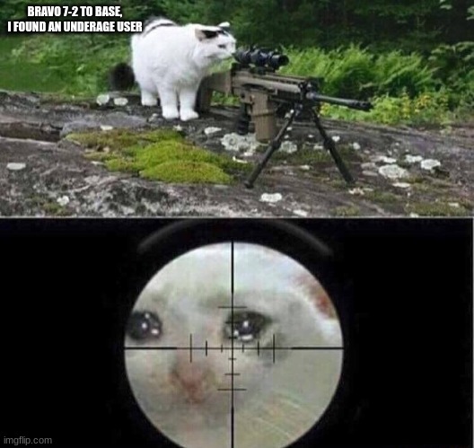 Sniper cat | BRAVO 7-2 TO BASE, I FOUND AN UNDERAGE USER | image tagged in sniper cat | made w/ Imgflip meme maker