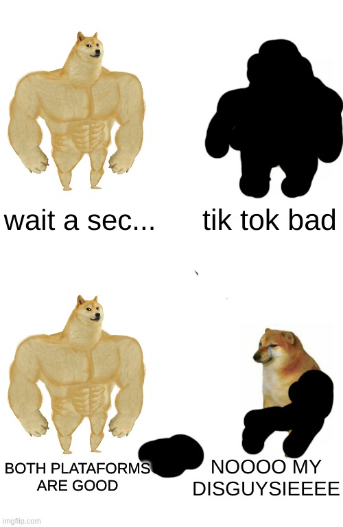 wait a sec... tik tok bad; BOTH PLATAFORMS ARE GOOD; NOOOO MY DISGUYSIEEEE | image tagged in memes,buff doge vs cheems | made w/ Imgflip meme maker