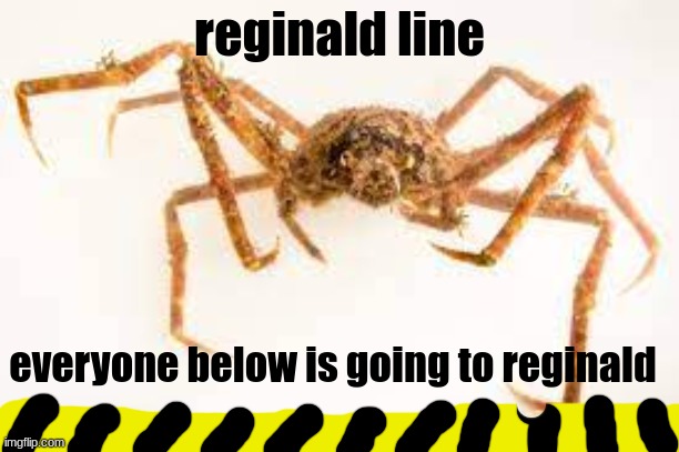 reginald line (dangerous) | reginald line; everyone below is going to reginald | image tagged in meme,crab | made w/ Imgflip meme maker