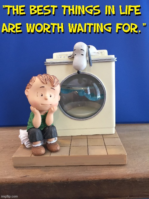 Patience is a Virtue. | image tagged in vince vance,peanuts,linus,snoopy,washing machine,cartoons | made w/ Imgflip meme maker