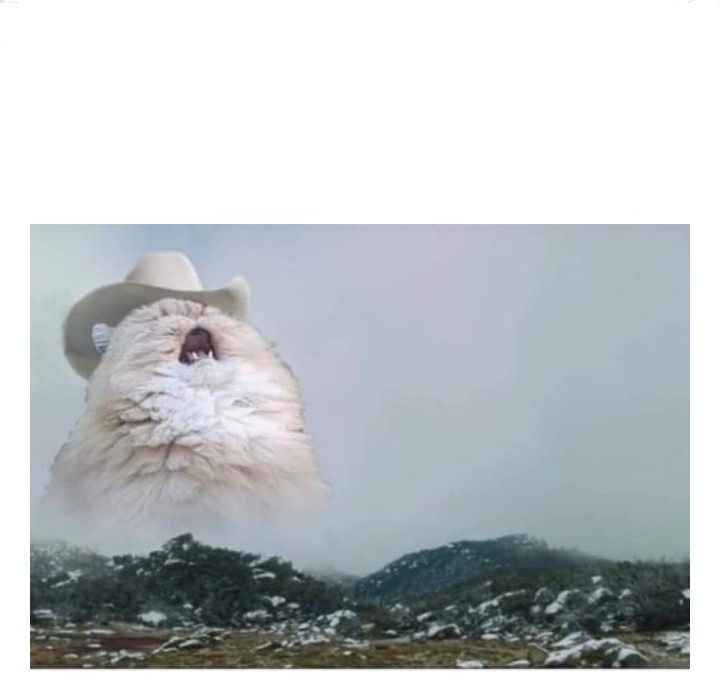 High Quality Country Roads Blank Meme Template