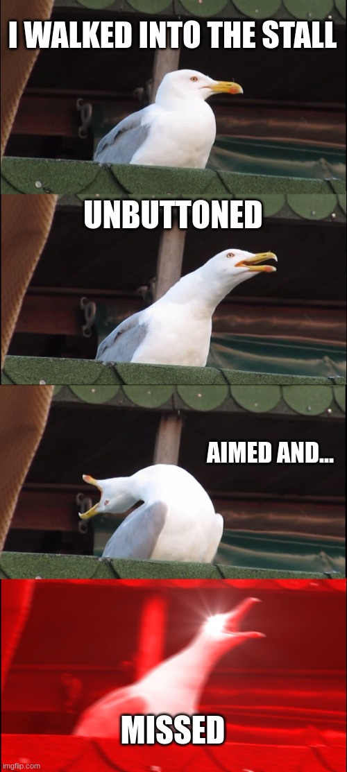 miss | I WALKED INTO THE STALL; UNBUTTONED; AIMED AND... MISSED | image tagged in memes,inhaling seagull,funny,funny memes | made w/ Imgflip meme maker