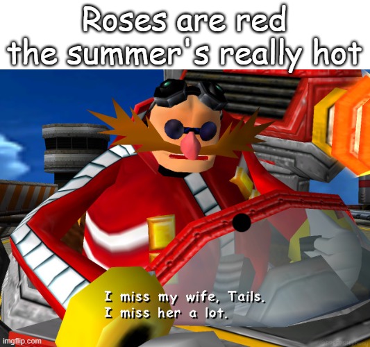 ??? | Roses are red the summer's really hot | image tagged in i miss my wife tails | made w/ Imgflip meme maker