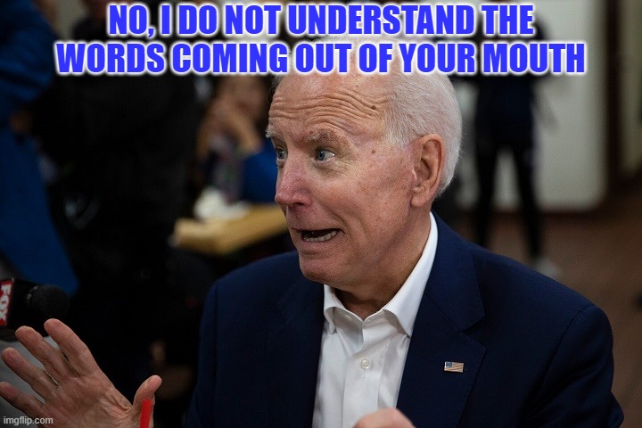 Old Uncle Joe | NO, I DO NOT UNDERSTAND THE WORDS COMING OUT OF YOUR MOUTH | image tagged in old uncle joe | made w/ Imgflip meme maker