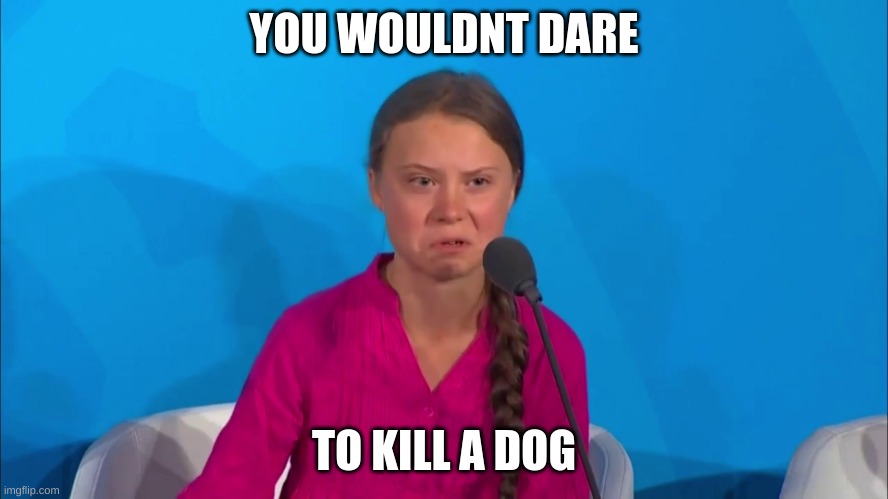 "How dare you?" - Greta Thunberg | YOU WOULDNT DARE TO KILL A DOG | image tagged in how dare you - greta thunberg | made w/ Imgflip meme maker