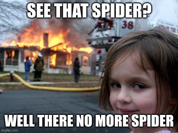 Disaster Girl Meme | SEE THAT SPIDER? WELL THERE NO MORE SPIDER | image tagged in memes,disaster girl | made w/ Imgflip meme maker