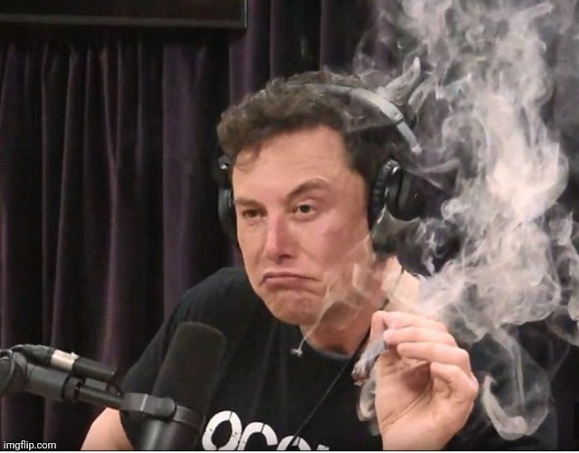 Elon Musk smoking a joint | image tagged in elon musk smoking a joint | made w/ Imgflip meme maker