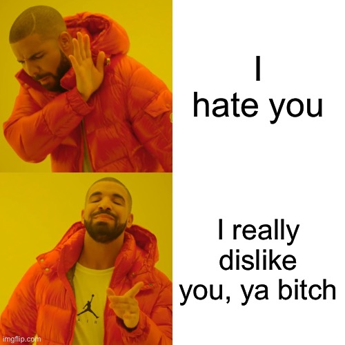 Drake Hotline Bling Meme | I hate you; I really dislike you, ya bitch | image tagged in memes,drake hotline bling | made w/ Imgflip meme maker