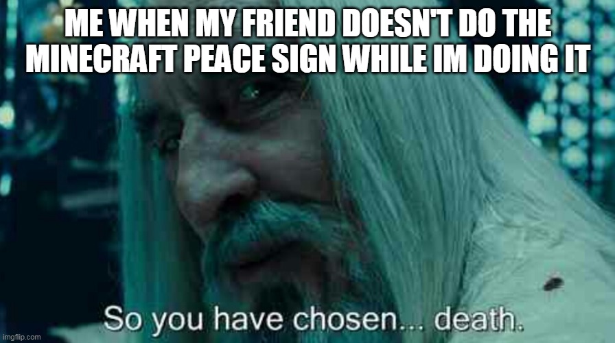 minecraft | ME WHEN MY FRIEND DOESN'T DO THE MINECRAFT PEACE SIGN WHILE IM DOING IT | image tagged in so you have chosen death | made w/ Imgflip meme maker
