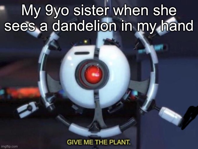 Idk if anyone relates to this | My 9yo sister when she sees a dandelion in my hand | image tagged in give me the plant | made w/ Imgflip meme maker