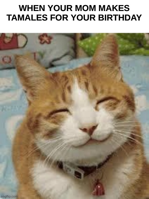 Happy cat | WHEN YOUR MOM MAKES TAMALES FOR YOUR BIRTHDAY | image tagged in happy cat | made w/ Imgflip meme maker
