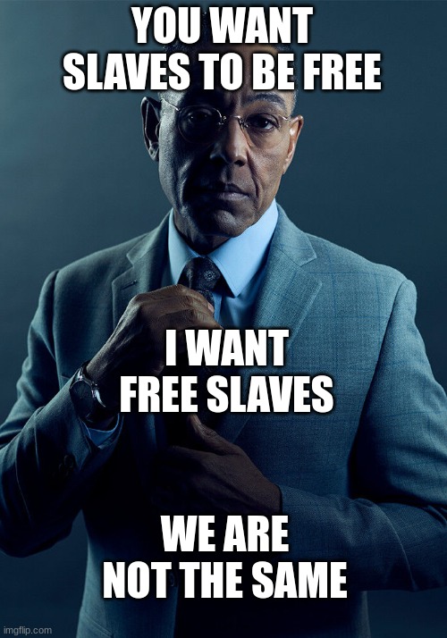 Gus Fring we are not the same | YOU WANT SLAVES TO BE FREE I WANT FREE SLAVES WE ARE NOT THE SAME | image tagged in gus fring we are not the same | made w/ Imgflip meme maker